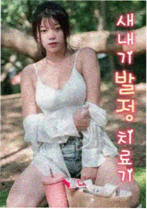 白洁完整版 导演剪辑版 海报
